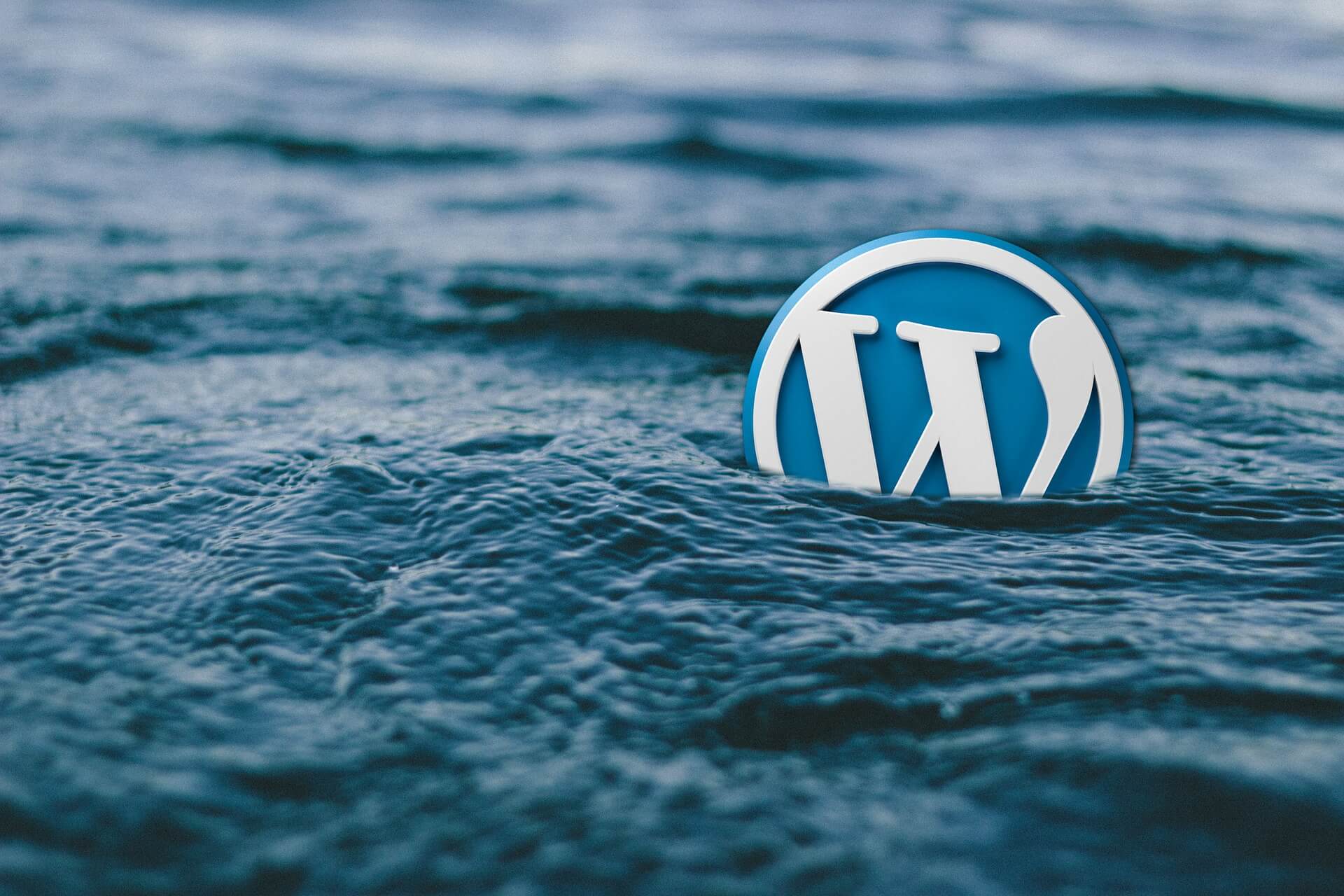 wordpress backup