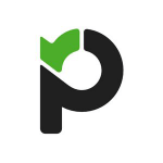 paymo app